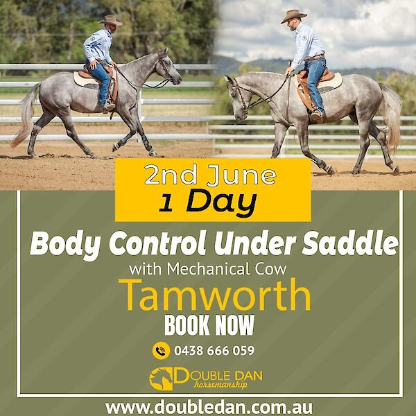1 Day Body Control Under Saddle